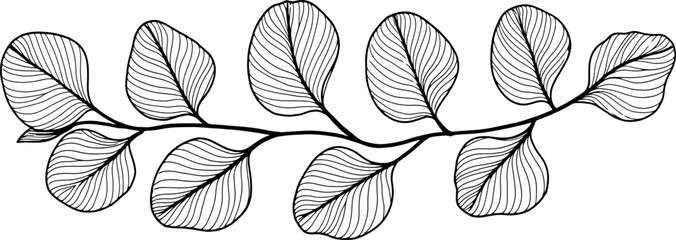 handdrawn leaves line art drawing