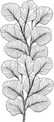 handdrawn leaves line art drawing