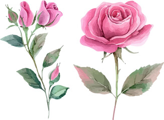 Fototapeta premium bouquet of roses