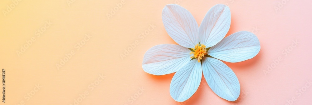 Poster delicate white flower with soft petals against a pastel orange background in a serene setting. gener