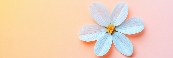 Fototapeta premium Delicate white flower with soft petals against a pastel orange background in a serene setting. Generative AI