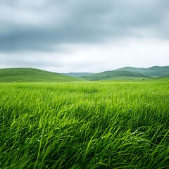 Fototapeta premium Lush Green Grass Fields Under Cloudy Sky in Nature Landscape