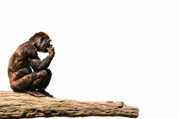 Obraz premium Contemplative Primate Sitting on Log with Reflective Expression