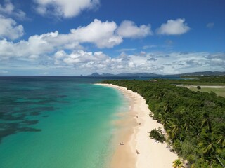 plage des salines, martinique, beach, martinica