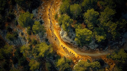 Aerial view of hikers on a winding mountain trail through lush green forest.