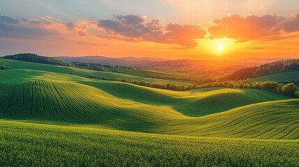 Obraz premium Golden Hour over Rolling Green Hills