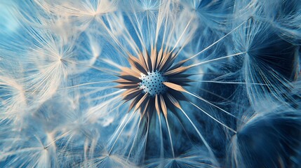 Dandelion Seed Head Close Up Blue Hues