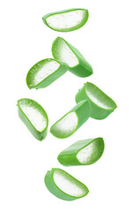 Aloe vera slice isolated on transparent png background.	