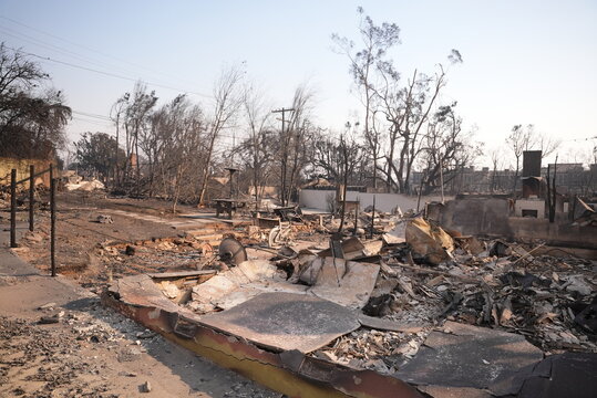 aftermath of the pacific palisades wild fire