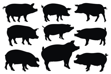 Pig pork hog silhouettes set isolated flat vector illustration on white background.