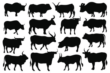 Ox silhouettes set isolated flat vector illustration on white background