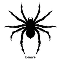 Obraz premium Black spider silhouette with transparent background and beware text at bottom