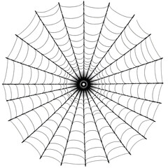 Fototapeta premium Black spiderweb radial design with transparent background