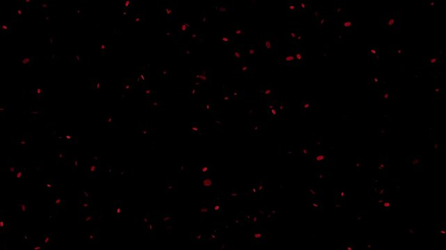Floating red rose petals. Isolated natural 3D rose flowers, highly detailed 4k falling rose petals,
 Falling red rose petals motion graphics, Red rose petals flying from the right side of the frame
