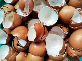 Eggshells contain 97% calcium carbonate; the rest is phosphorus, magnesium, sodium, potassium,...