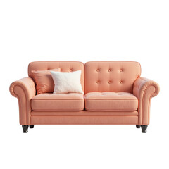 Fototapeta premium Stylish Plush Sofa with Pillows