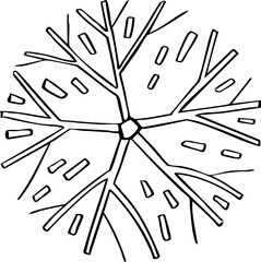 hand drawn cartoon top view of tree illustration.