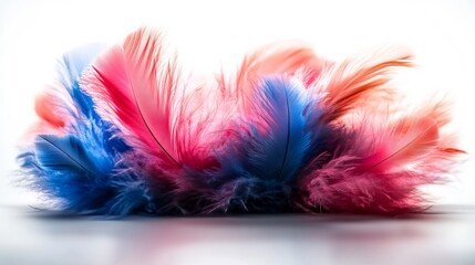 Soft pink blue feathers softly illuminated bright background. AI Generated