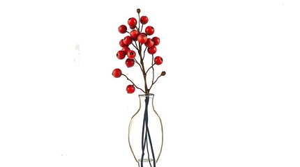 Red berries in a clear glass vase against a white background.
