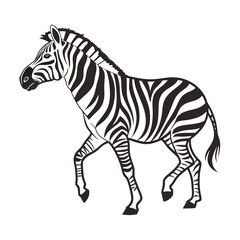 Fototapeta premium Black and white zebra illustration