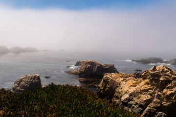 Coastal Landscape of monetary bay with Wildflowers and Foggy Cliffs