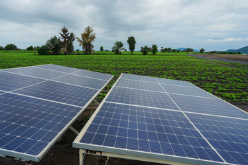 Solar panels for irrigation systems in farm.