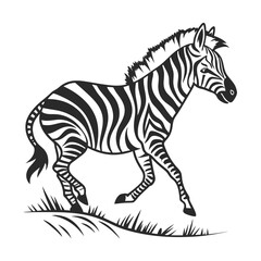 Obraz premium Black and white zebra illustration