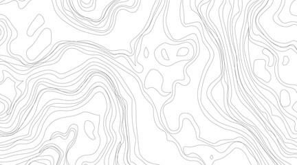 Topographic contour map illustration. Topography and geography map grid abstract backdrop. Business concept. Fish Fillet Texture, Salmon fillet texture, fish pattern. paper texture