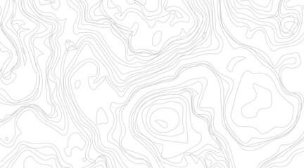 Topographic contour map illustration. Topography and geography map grid abstract backdrop. Business concept. Fish Fillet Texture, Salmon fillet texture, fish pattern. paper texture