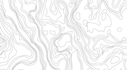 Topographic contour map illustration. Topography and geography map grid abstract backdrop. Business concept. Fish Fillet Texture, Salmon fillet texture, fish pattern. paper texture