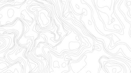 Topographic contour map illustration. Topography and geography map grid abstract backdrop. Business concept. Fish Fillet Texture, Salmon fillet texture, fish pattern. paper texture