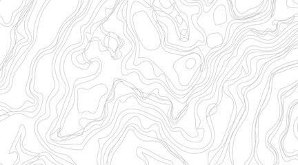 Topographic contour map illustration. Topography and geography map grid abstract backdrop. Business concept. Fish Fillet Texture, Salmon fillet texture, fish pattern. paper texture