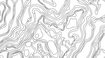 Topographic contour map illustration. Topography and geography map grid abstract backdrop. Business concept. Fish Fillet Texture, Salmon fillet texture, fish pattern. paper texture