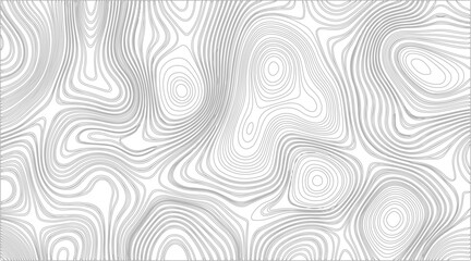 Topographic contour map illustration. Topography and geography map grid abstract backdrop. Business concept. Fish Fillet Texture, Salmon fillet texture, fish pattern. paper texture