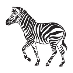 Black and white zebra illustration