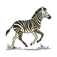 Black and white zebra illustration