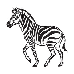Black and white zebra illustration