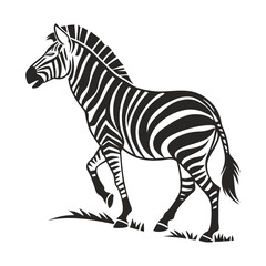 Fototapeta premium Black and white zebra illustration