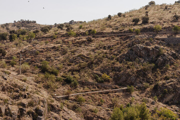 Winding mountain path through dry landscape