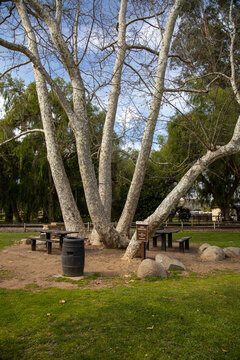 View of the picnic area available for reservation at the Old Poway Park and Village in San Diego, California.