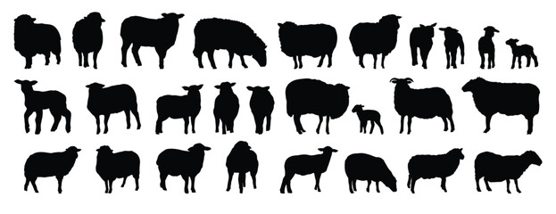 sheep silhouette set. sheep and lamb isolated farm animal silhouette icon vector collection