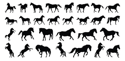 horse silhouette set. horse different poses isolated farm animal silhouette icon vector collection