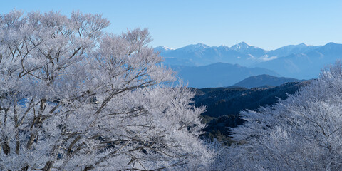 霧氷した木々と冠雪した南アルプスの山々