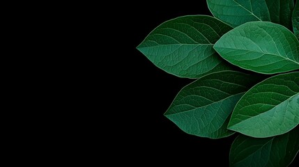 AI Sensor Close-Up, advanced technology in action, precision measurement of plant health, intricate design showcasing innovation and research.