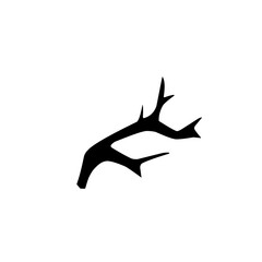 black tree branch