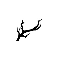 Fototapeta premium black tree branch