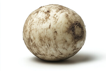 Fototapeta premium A single dirty round daikon radish rests on white