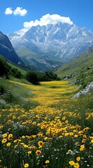 Mountain valley wildflowers, scenic landscape