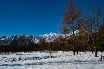 冬の北アルプス　五竜岳　長野県白馬村