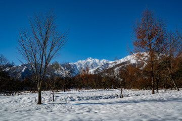 冬の北アルプス　五竜岳　長野県白馬村